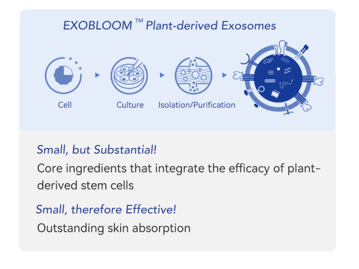 exosomes for aesthetics