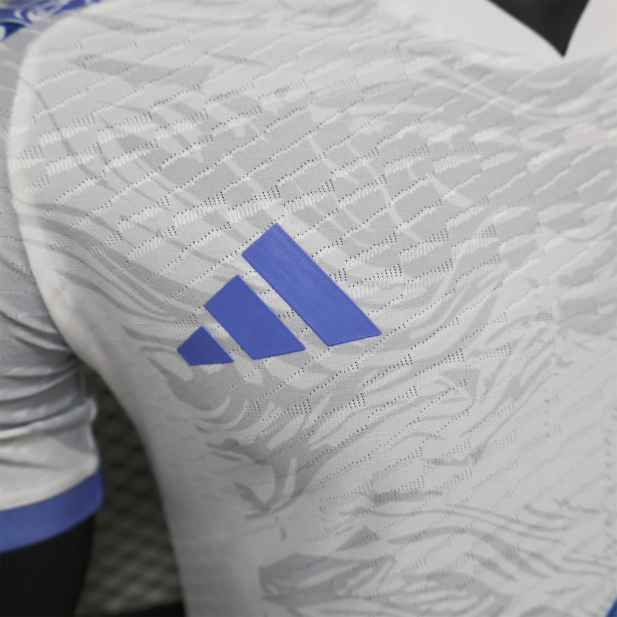 SIUjerseys-Japan 2024 Blue Dragon Special Edition White Jersey - Player Version