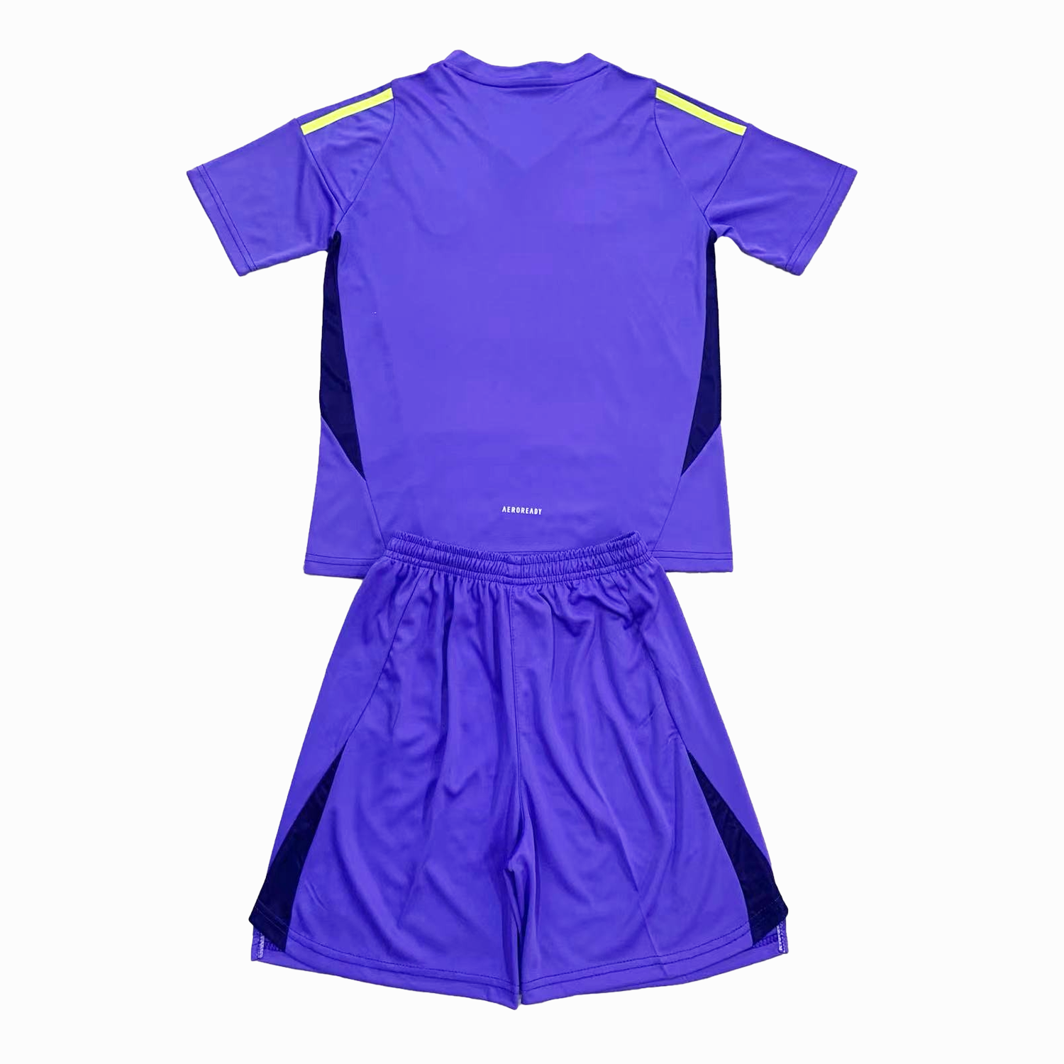 SIUjerseys-S-c-o.t l.a-n.d 2024 Goalkeeper Kids Kit - Purple