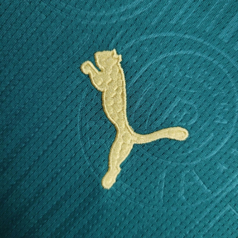 unitedfutballjersey-Palmeiras 2024 Home Stadium Kids Kit