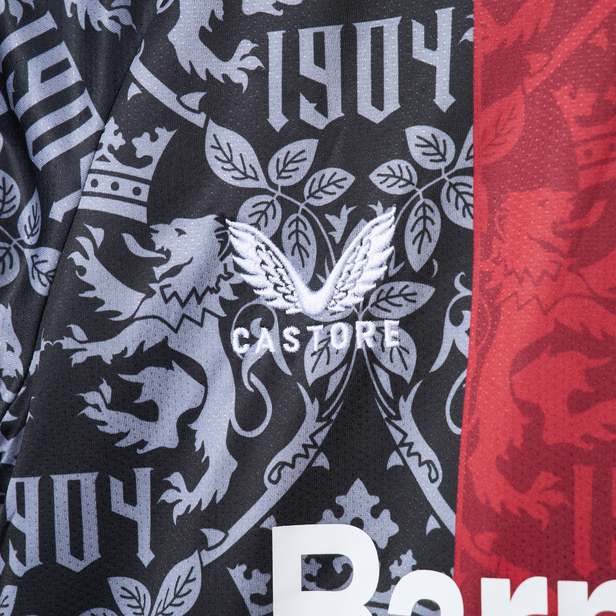 SIUjerseys-Bayer 04 Leverkusen 24-25 Black Special Jersey - Fans Version