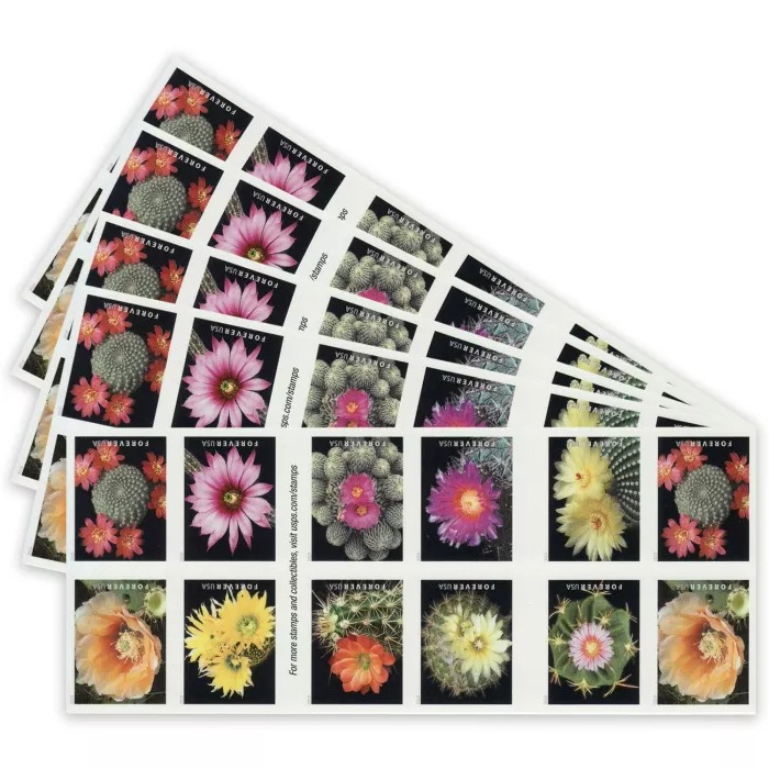 Cactus Flowers 2019Stamnow.com