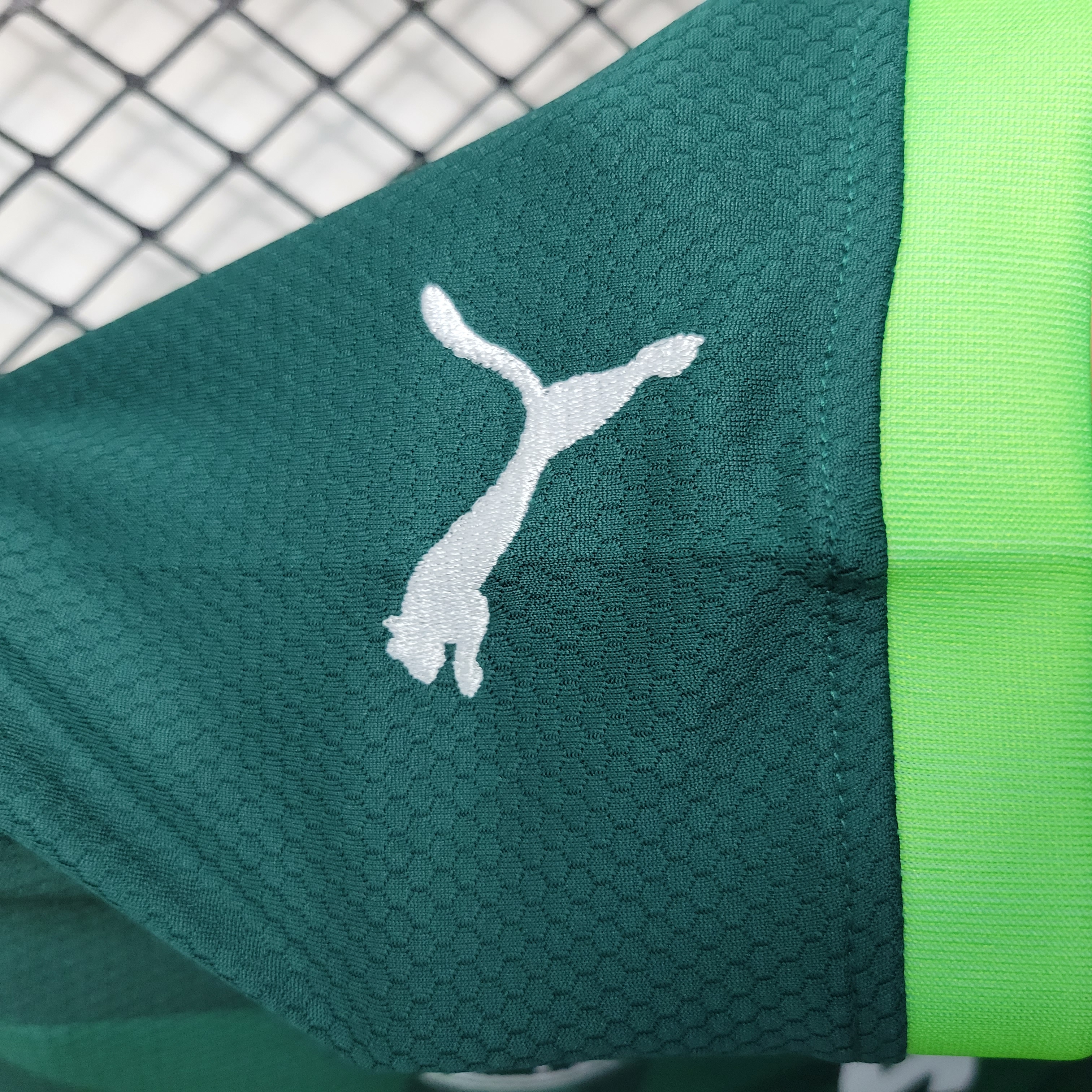 SIUjerseys-Palmeiras 2023 Home Stadium Kids Kit