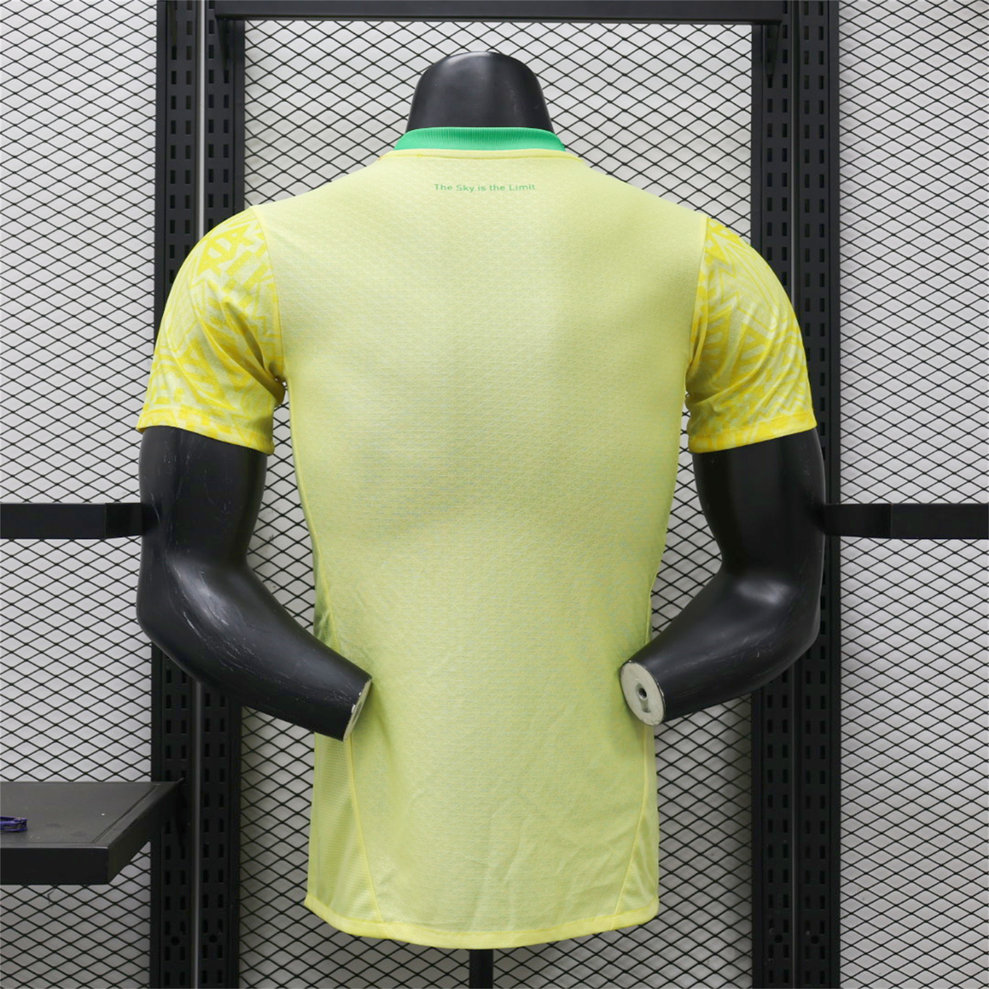 SIUjerseys-Mamelodi Sundowns 24-25 Home Stadium Jersey - Player Version