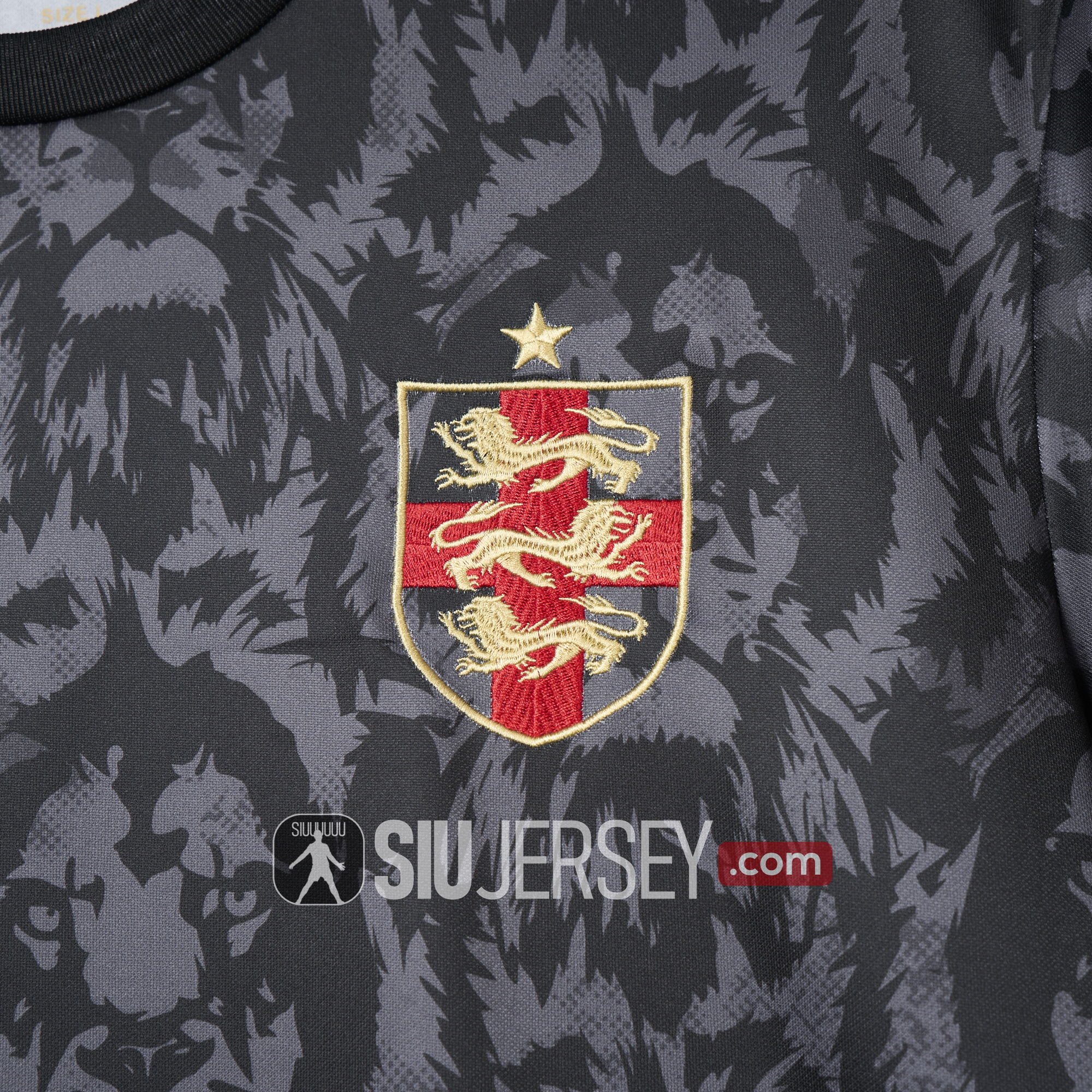 SIUjerseys-England 2024 Black The Lions Special Edition Jersey - Fans Version