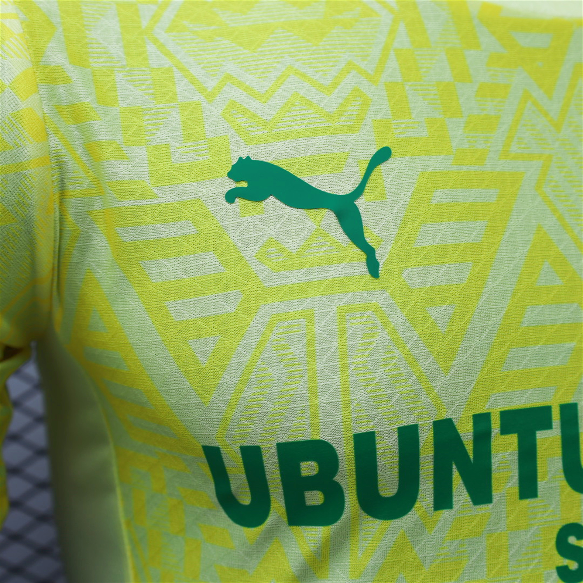 SIUjerseys-Mamelodi Sundowns 24-25 Home Stadium Jersey - Player Version