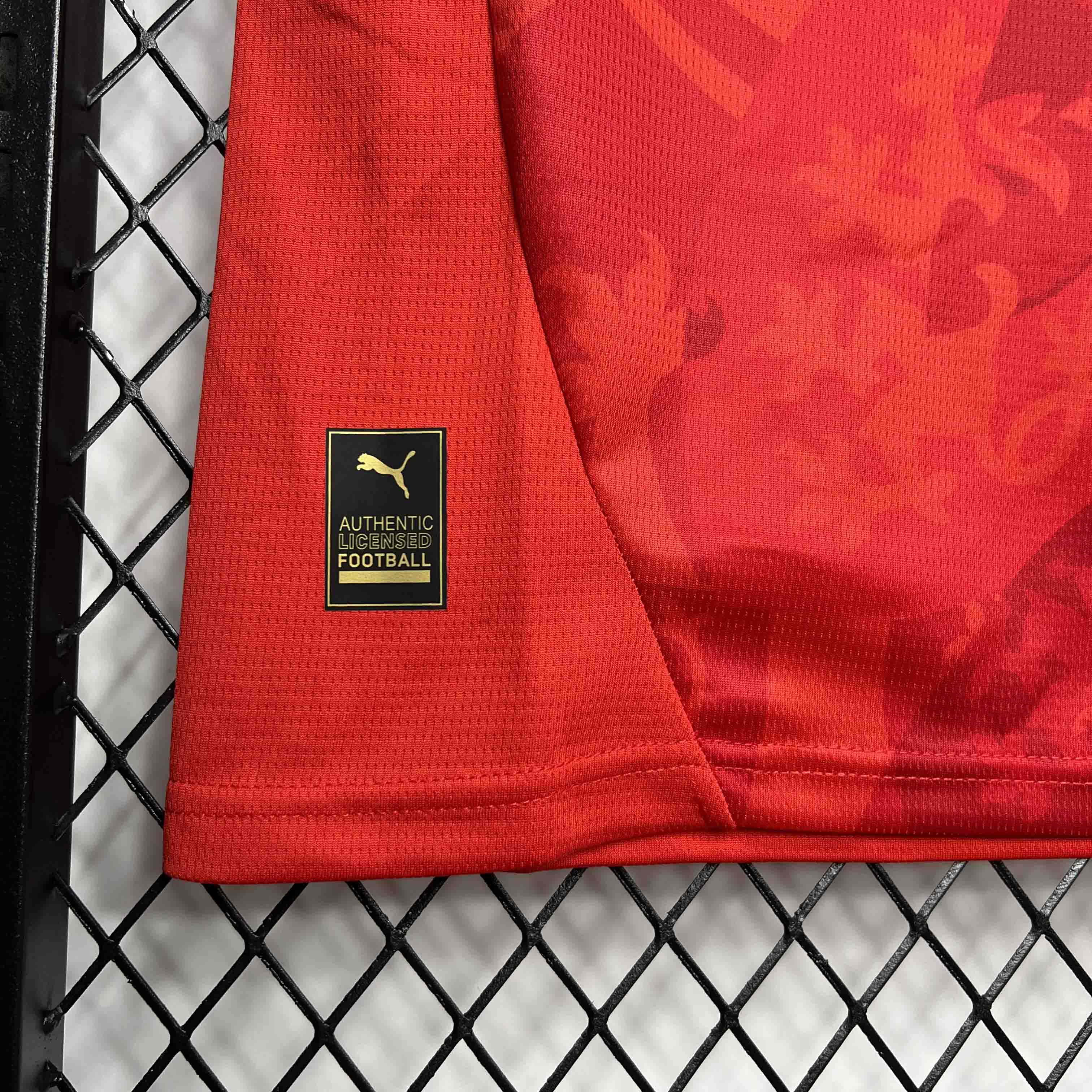 unitedfutballjersey-Czech Republic 2024 Home Stadium Jersey - Fans Version