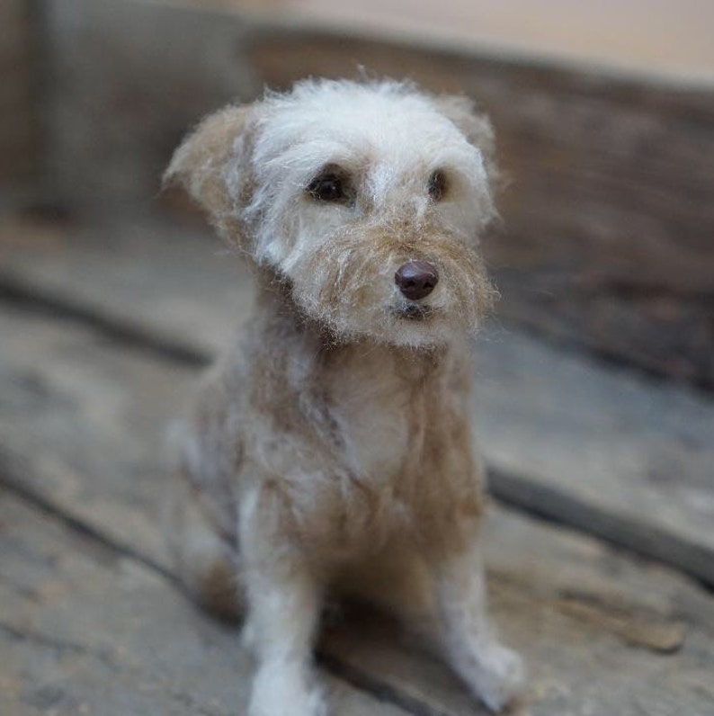 Wool Needle Felting Pet Portrait