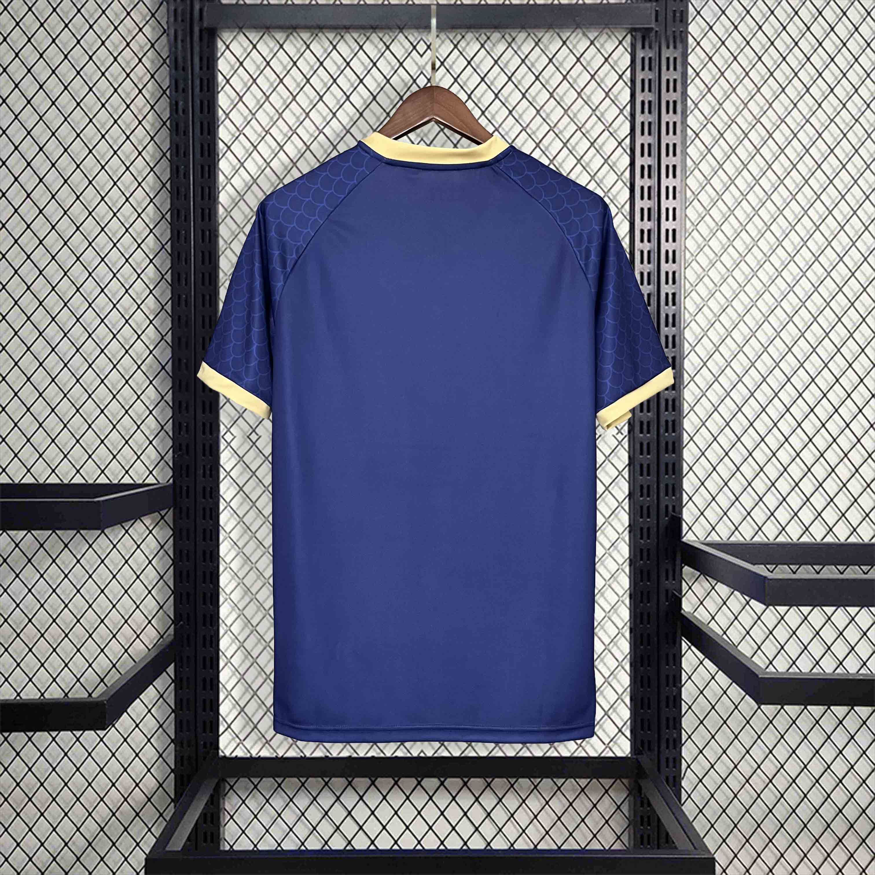 SIUjerseys-Japan 2024 Blue Dragon Special Edition Jersey - Fans Version