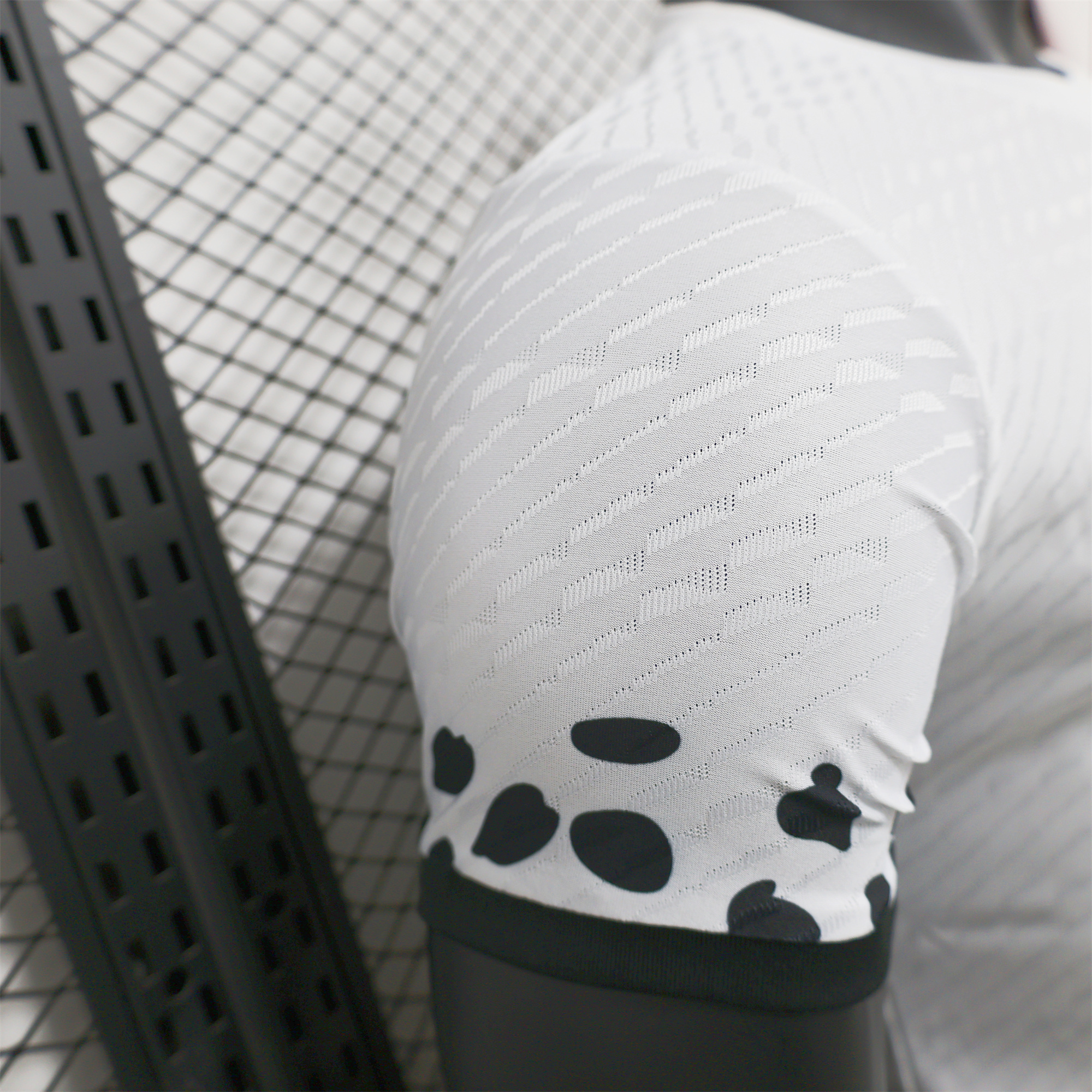 SIUjerseys-Japan 2024 Fuji Mountain Scenery Special Edition White Jersey - Player Version