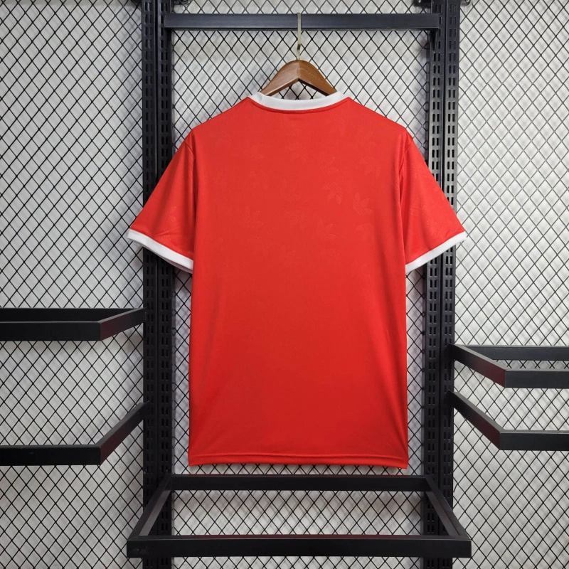 unitedfutballjersey-Bayern Munich 24-25 Red Training Jersey - Fans Version