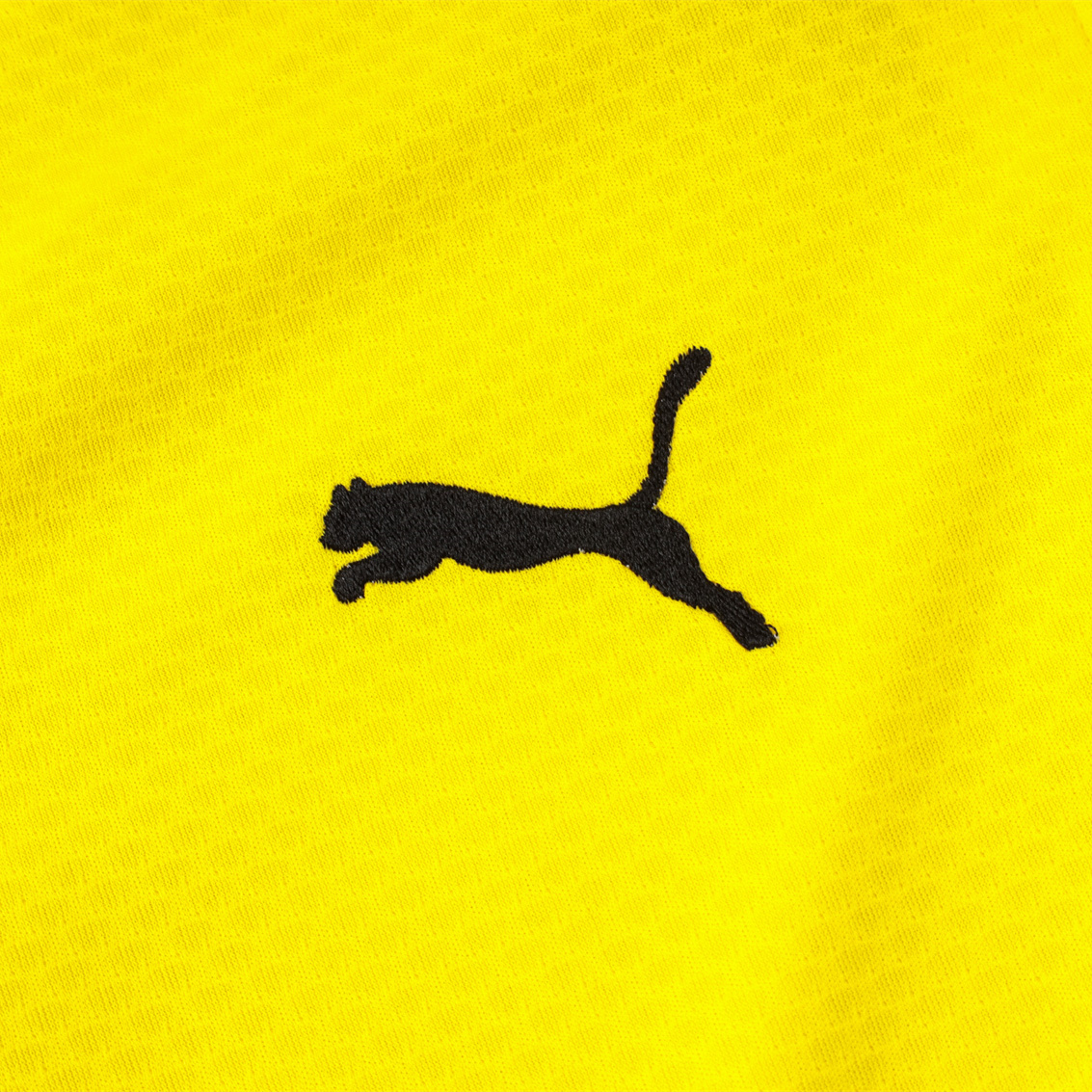 SIUjerseys-Dortmund 24-25 Long Sleeve Training Set - Player Version - Yellow