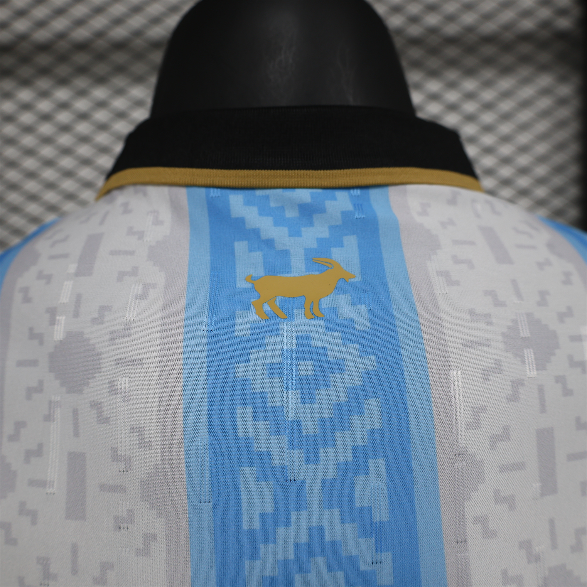 Higojerseys-Argentina 2024-25 COMMA Messi Jersey - Player Version