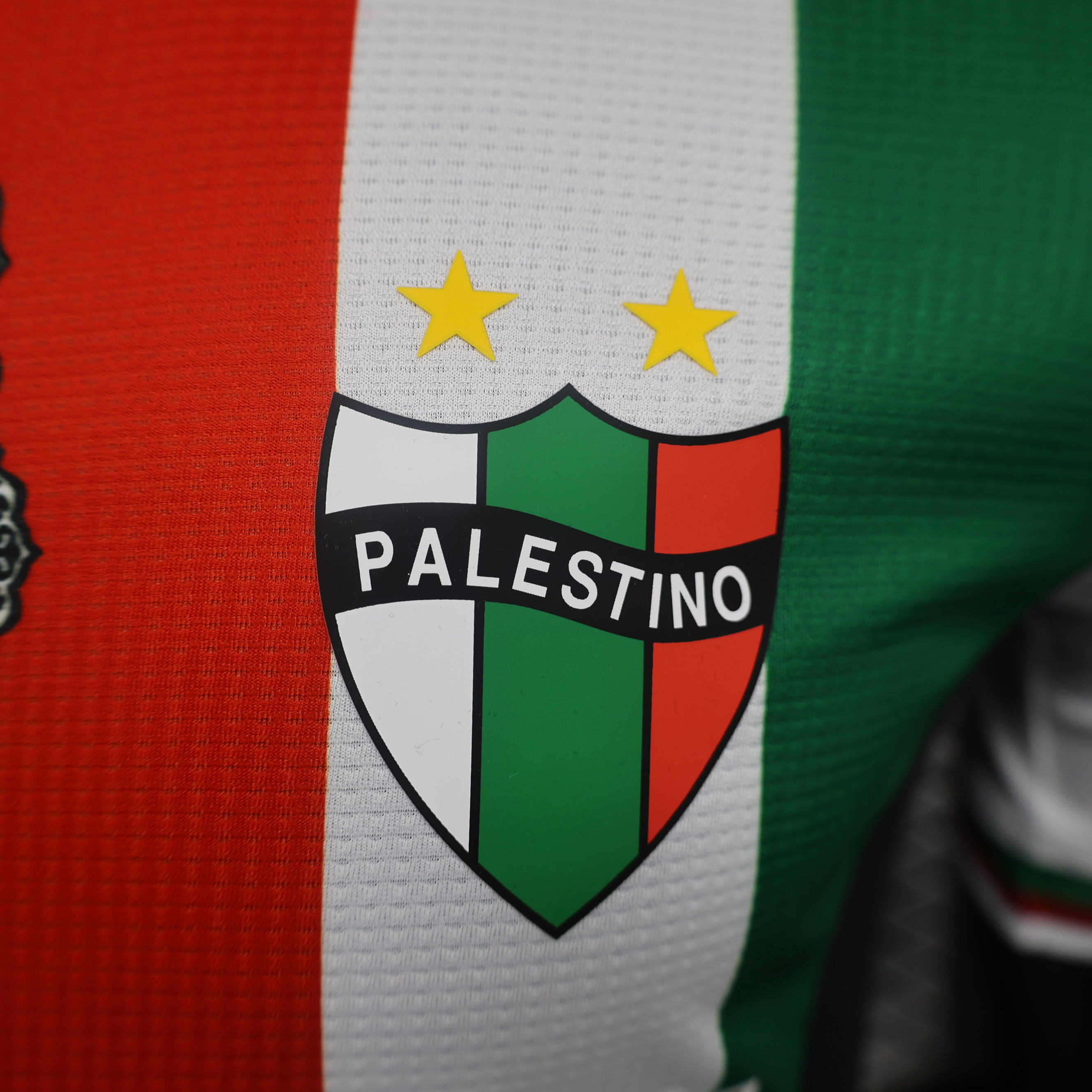 unitedfutballjersey-Club Deportivo Palestino 2024 Home Jersey - Player Version