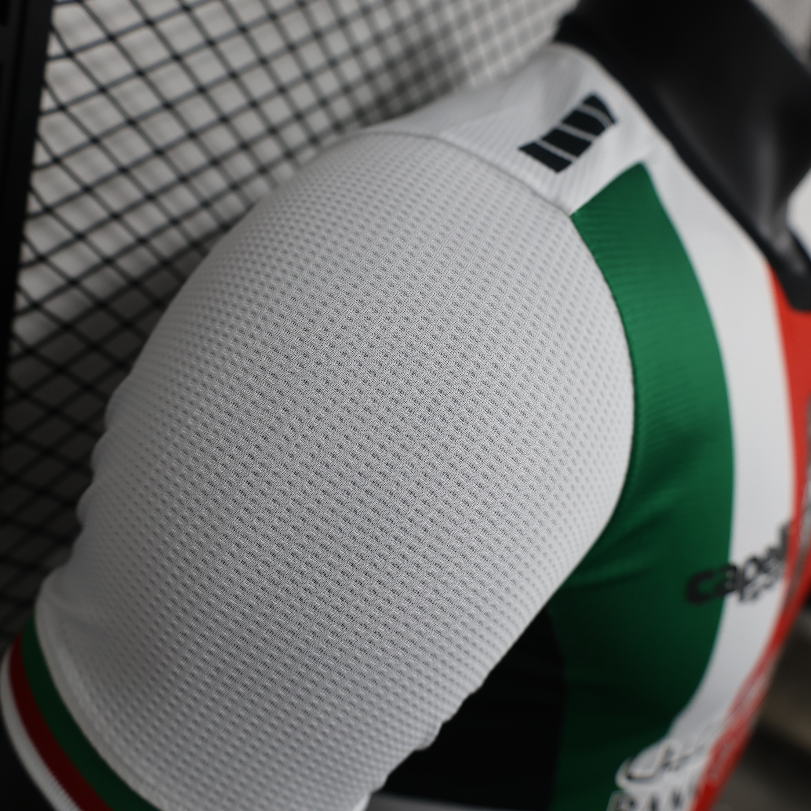 unitedfutballjersey-Club Deportivo Palestino 2024 Home Jersey - Player Version