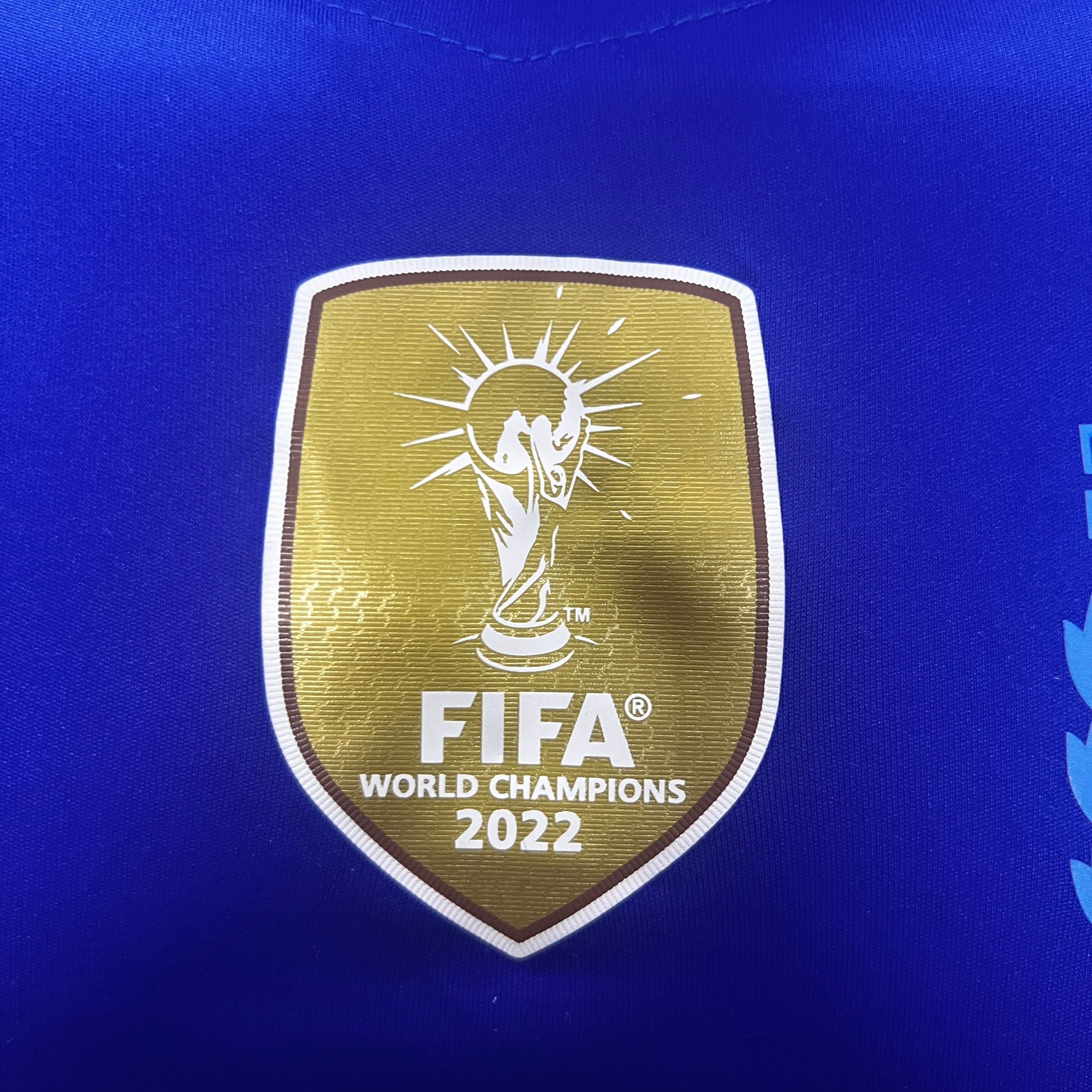 SIUjerseys-Argentina 2024 Away Long Sleeve Jersey - Player Version