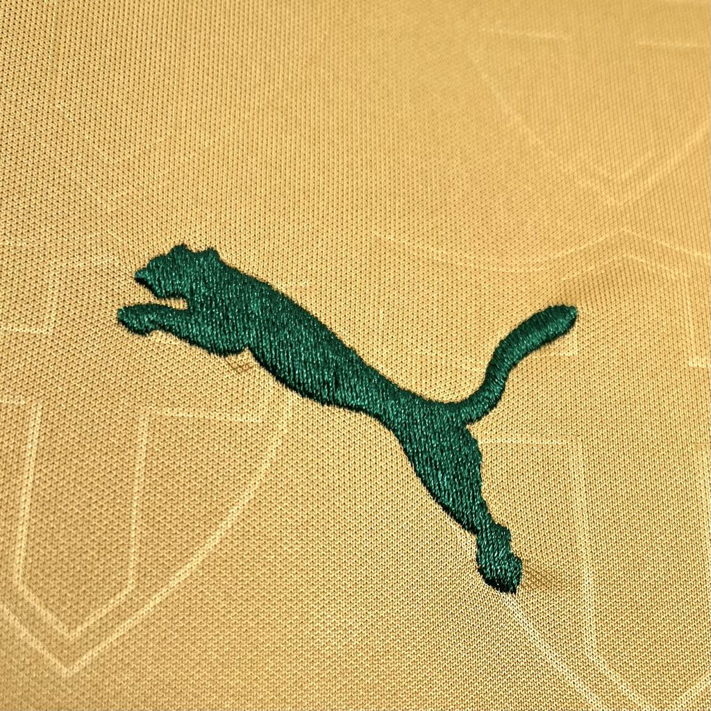 SIUjerseys-Palmeiras 24-25 Third Jersey - Fans Version