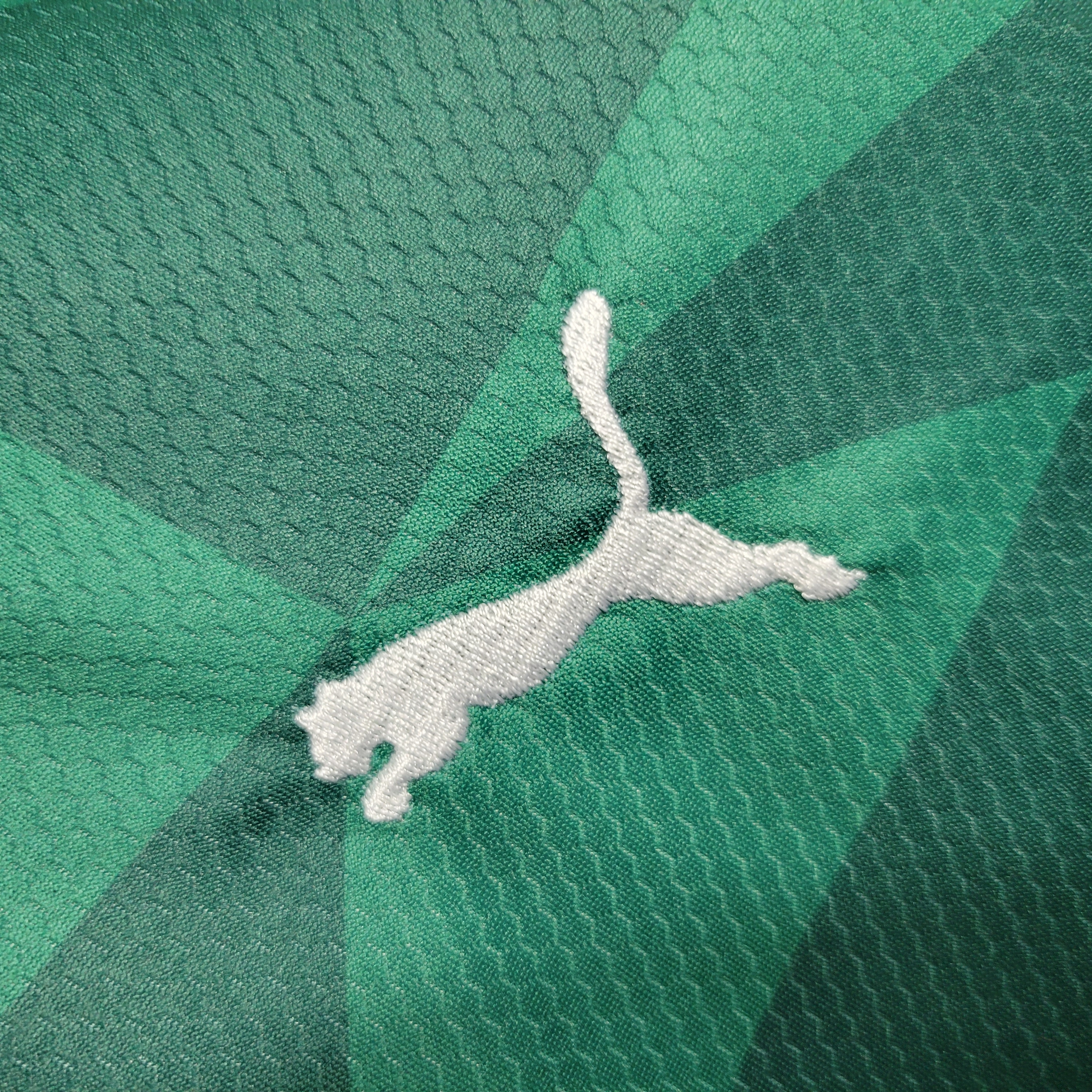 SIUjerseys-Palmeiras 2023 Home Stadium Kids Kit