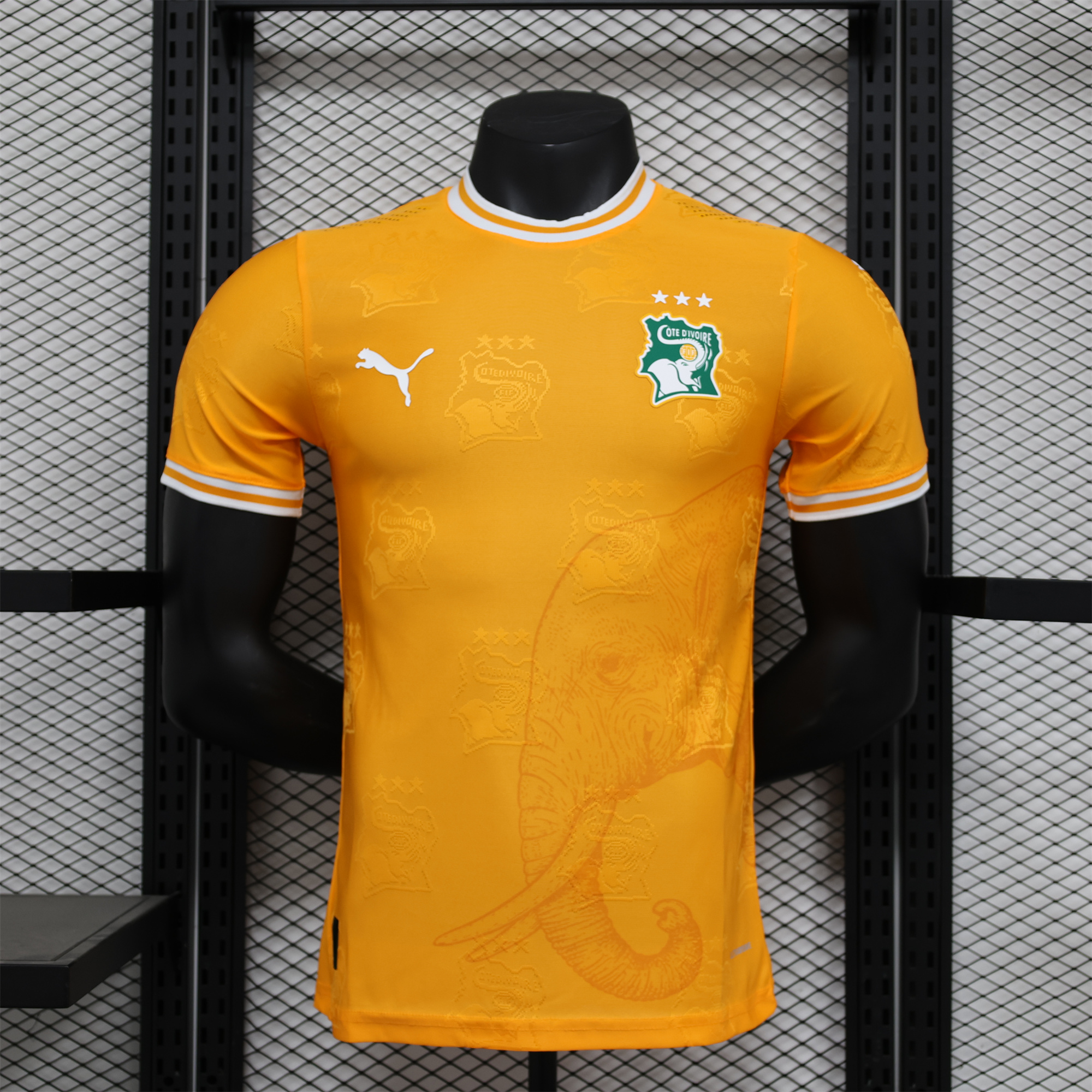 SIUjerseys-Ivory Coast 2024 Orange Elephant Special Edition Jersey - Player Version