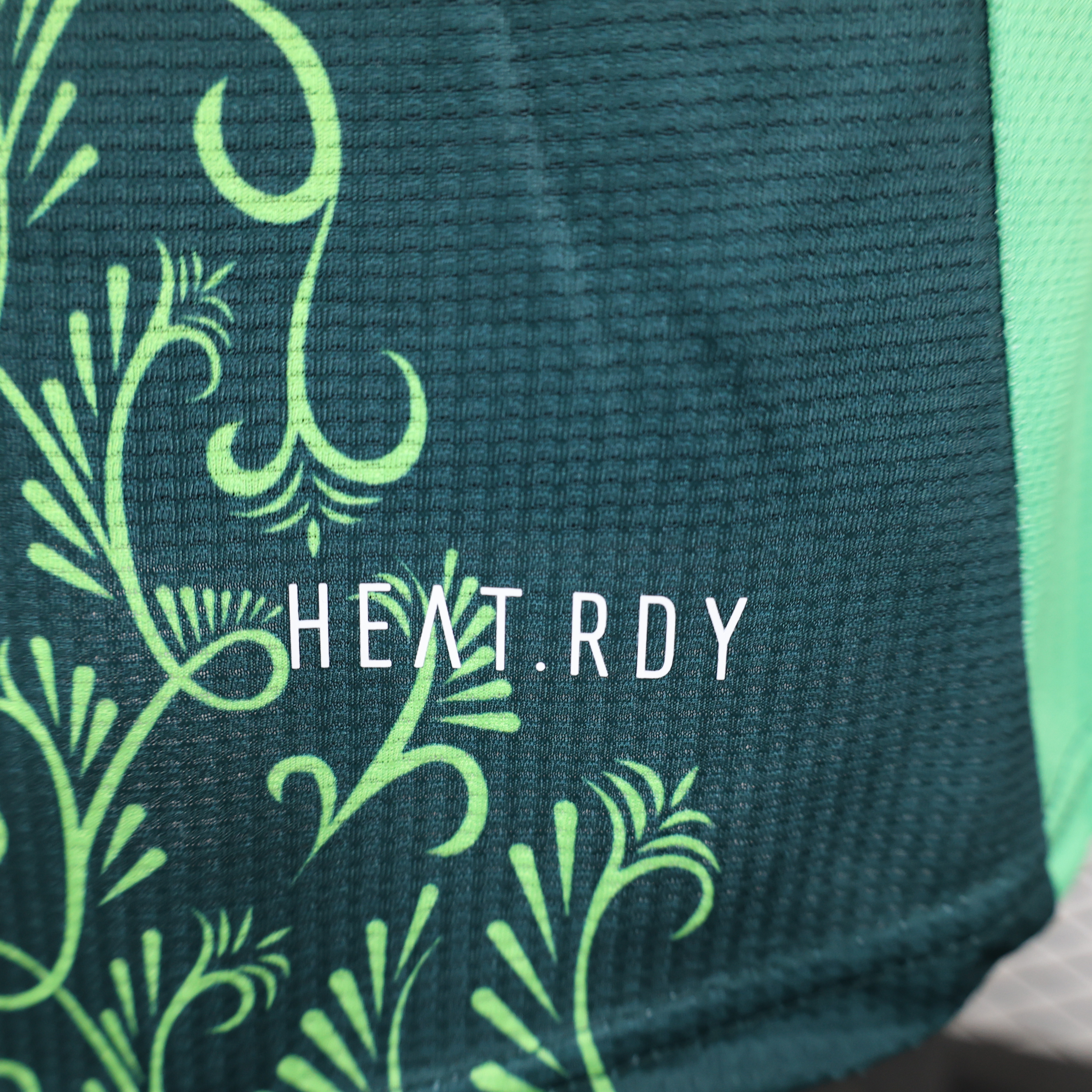 unitedfutballjersey-Algeria 2024-25 Away Jersey - Player Version