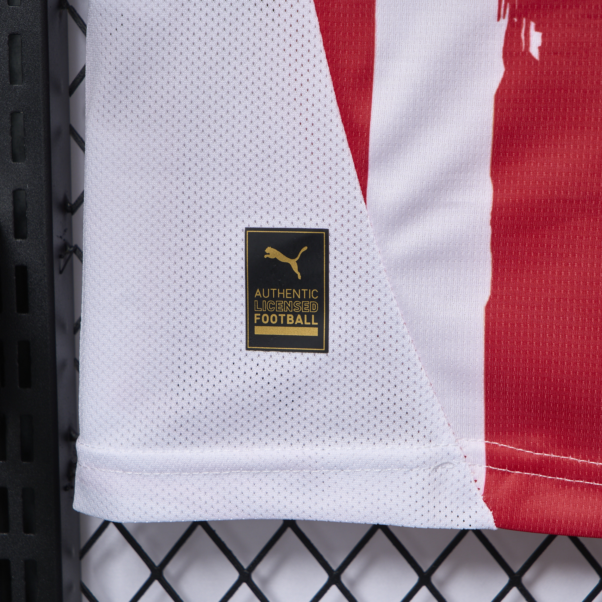 SIUjerseys-PSV Eindhoven 24-25 Home Jersey - Fans Version