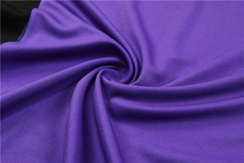 SIUjerseys-Germany 2024 Long Sleeve Training Set - Purple With Black