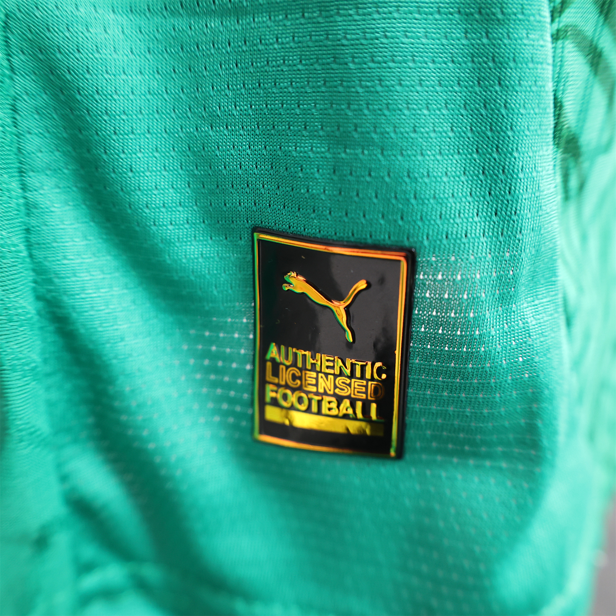 Higojerseys-Senegal 24-25 Away Green Jersey - Player Version