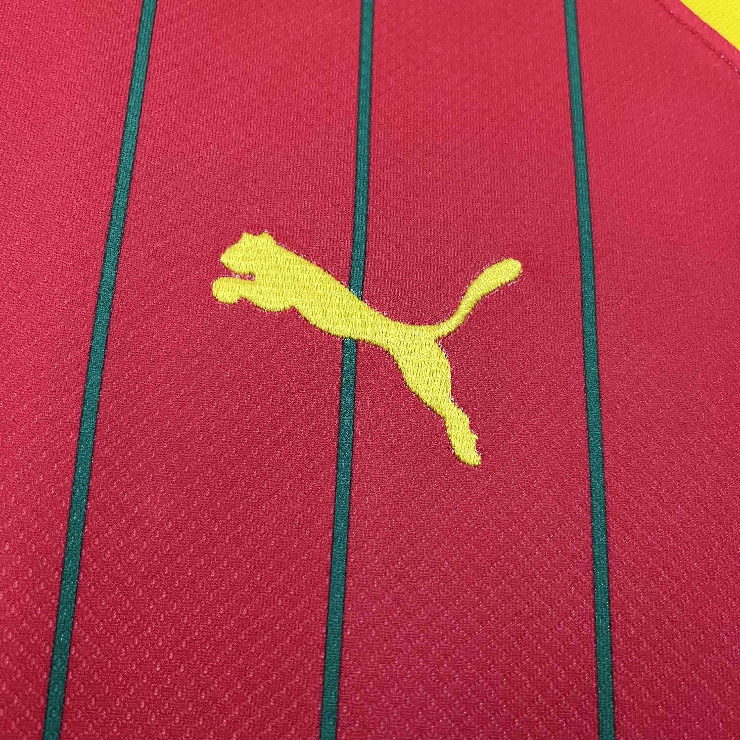 SIUjerseys-Guinea 2024 Home Stadium Jersey - Fans Version
