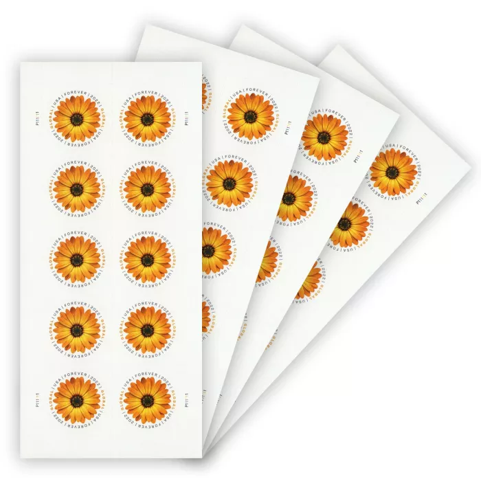 Global African Daisy 2022Stamnow.com