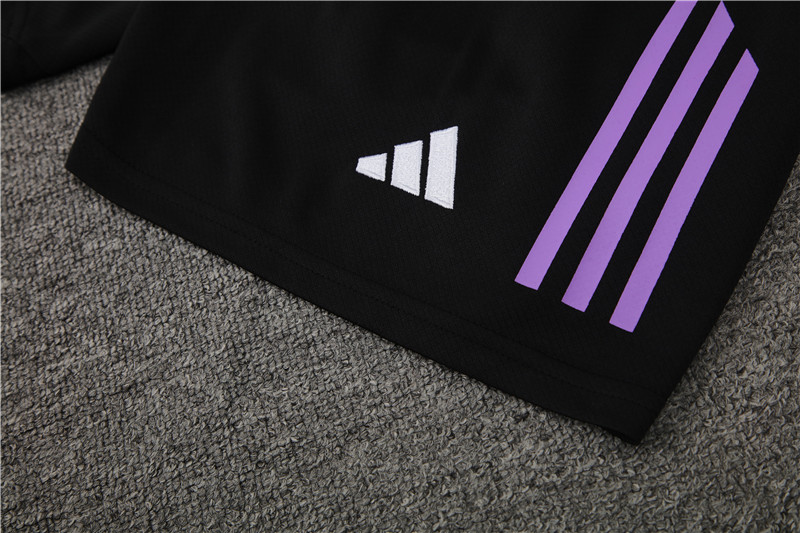 SIUjerseys-Germany 2024 Short-Sleeve Training Set - Purple