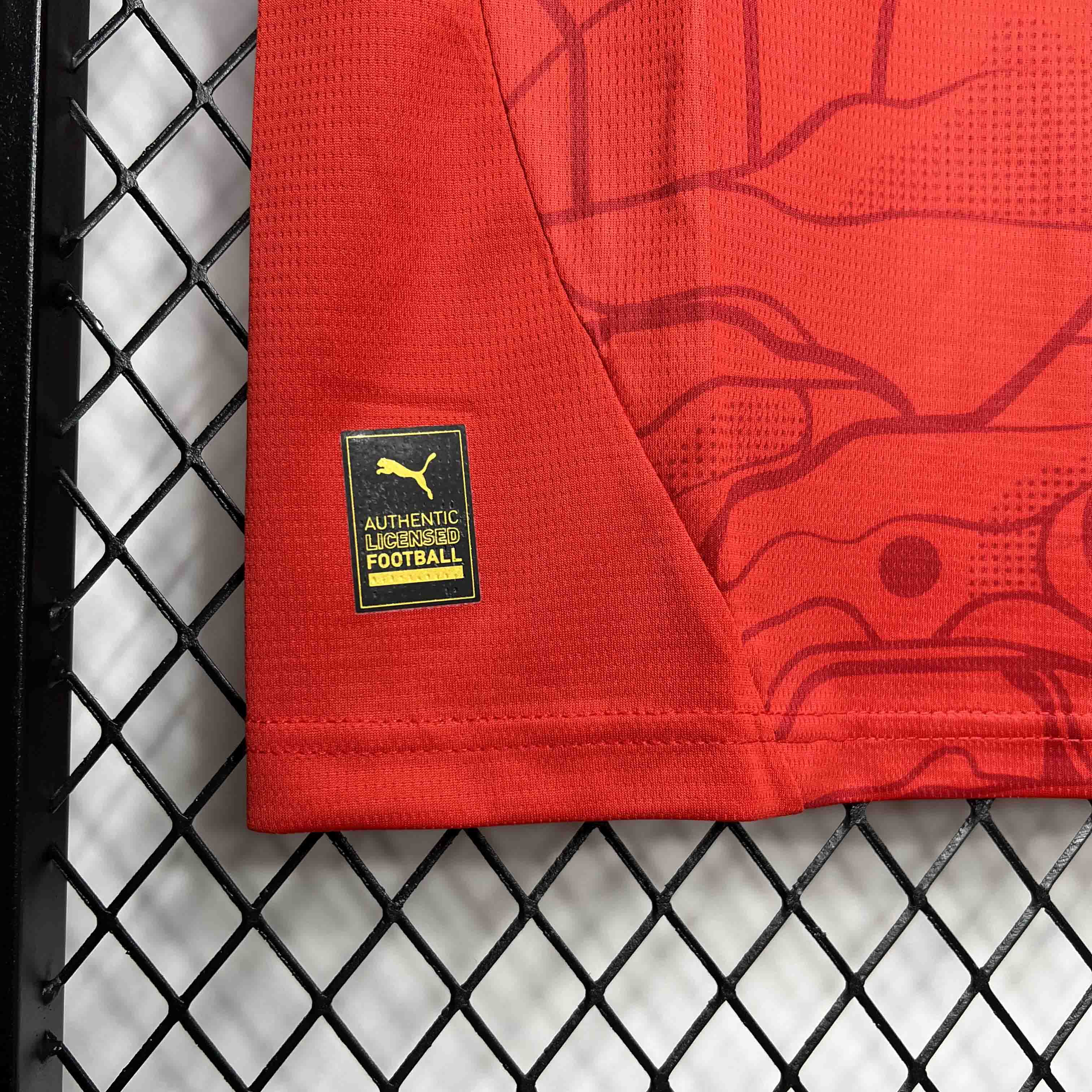 SIUjerseys-Austria 2024 Home Stadium Jersey - Fans Version