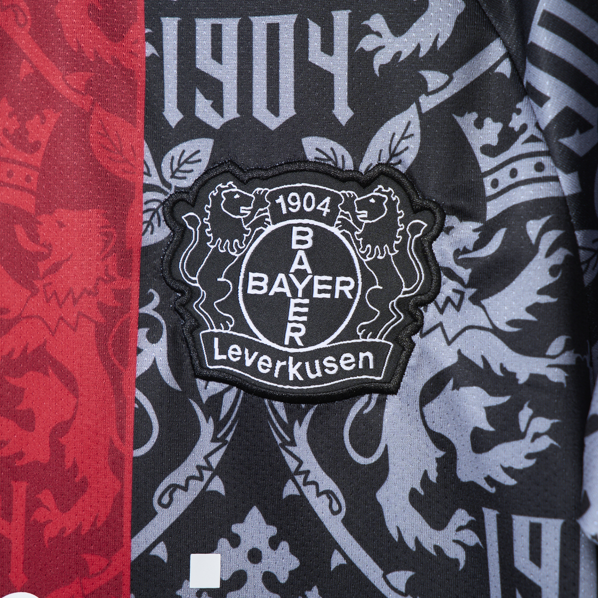 SIUjerseys-Bayer 04 Leverkusen 24-25 Black Special Jersey - Fans Version
