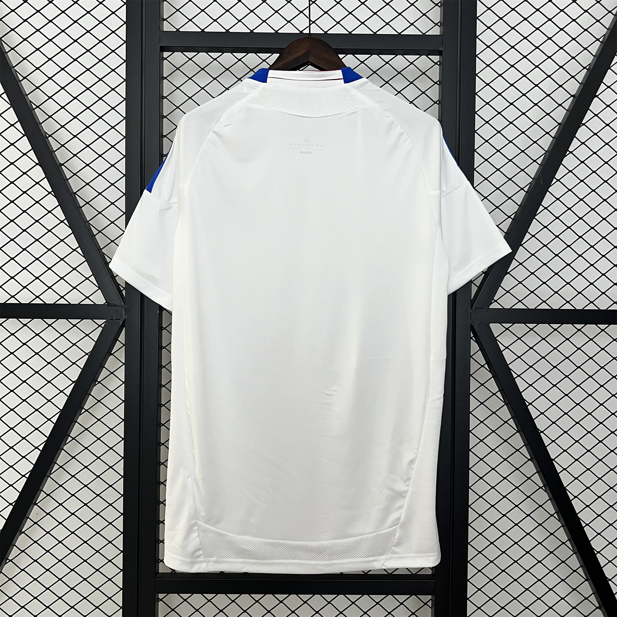 SIUjerseys-Retro Olympique Lyonnais Lyon 2010-11 Home Jersey