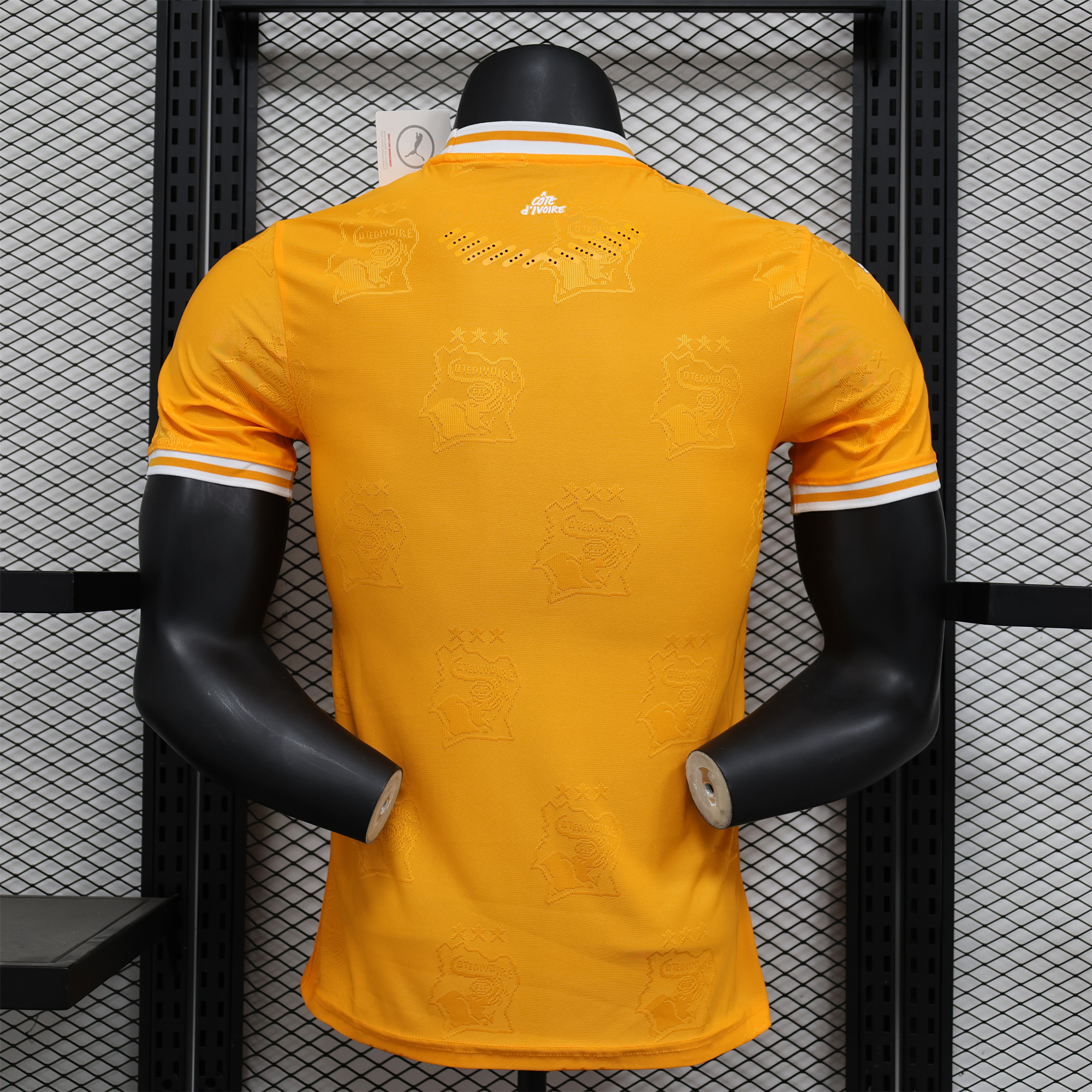 SIUjerseys-Ivory Coast 2024 Orange Elephant Special Edition Jersey - Player Version