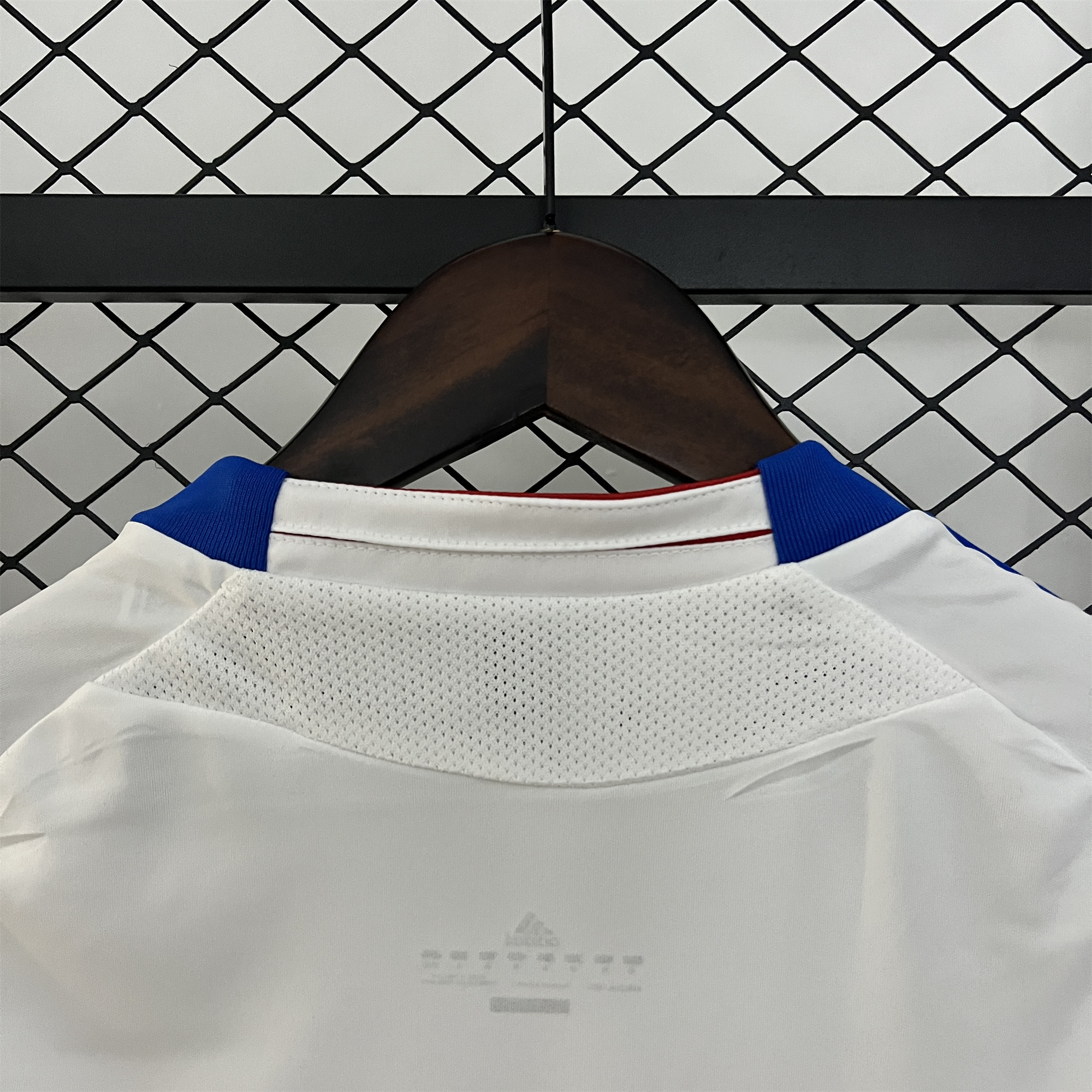 SIUjerseys-Retro Olympique Lyonnais Lyon 2010-11 Home Jersey