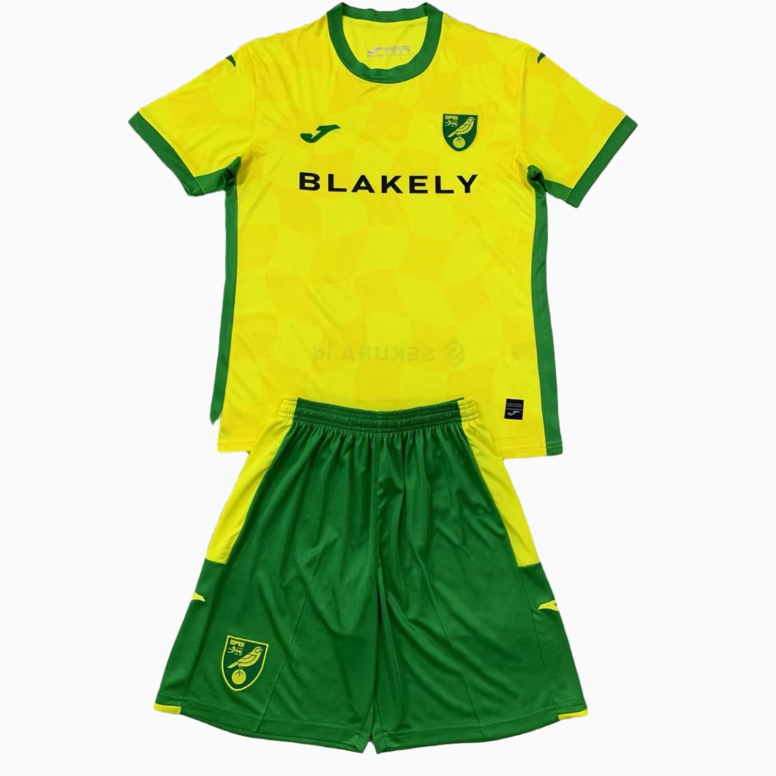 Higojerseys-Norwich City 24-25 Home Kids Kit