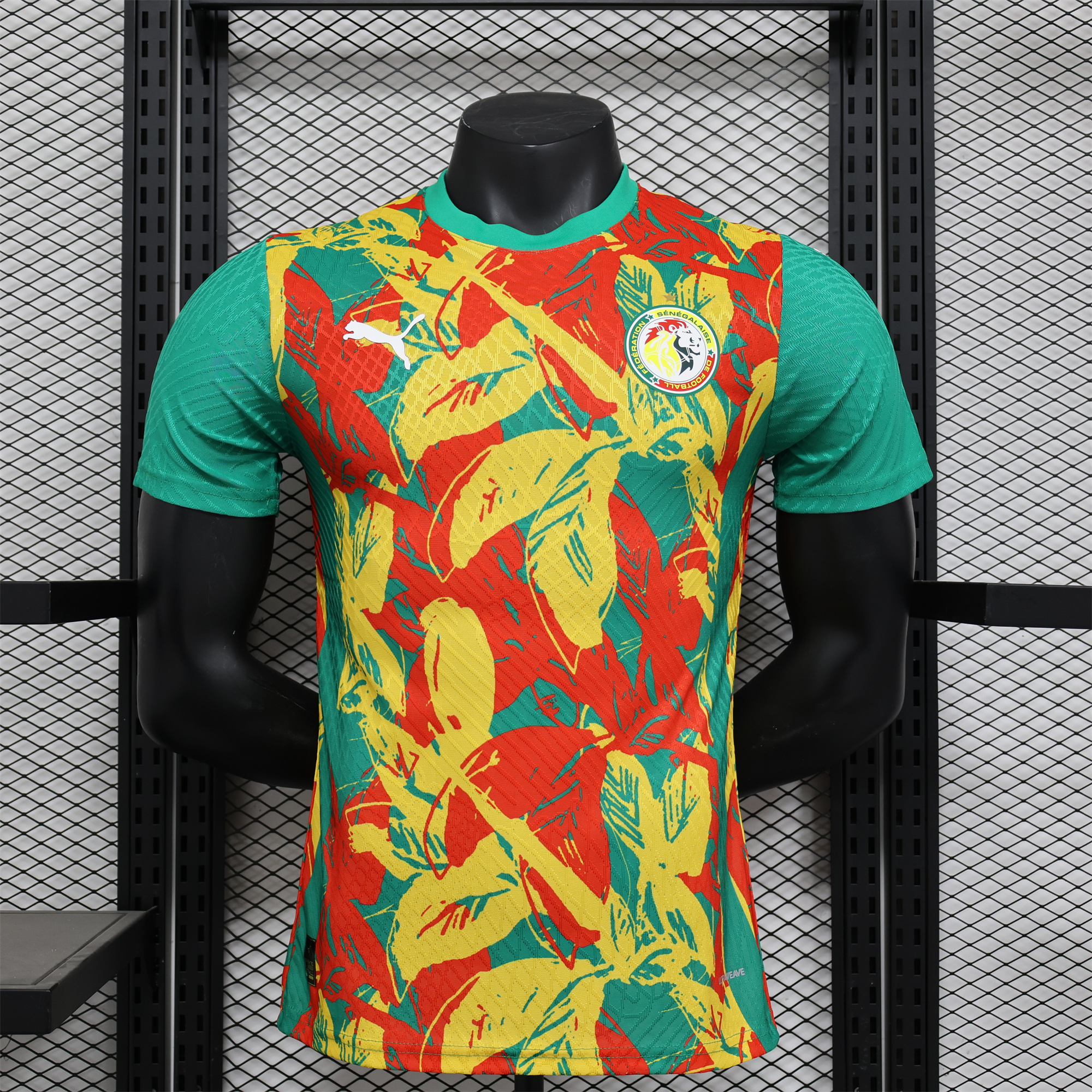 SIUjerseys-Senegal 24-25 Pre-Match Jersey - Player Version