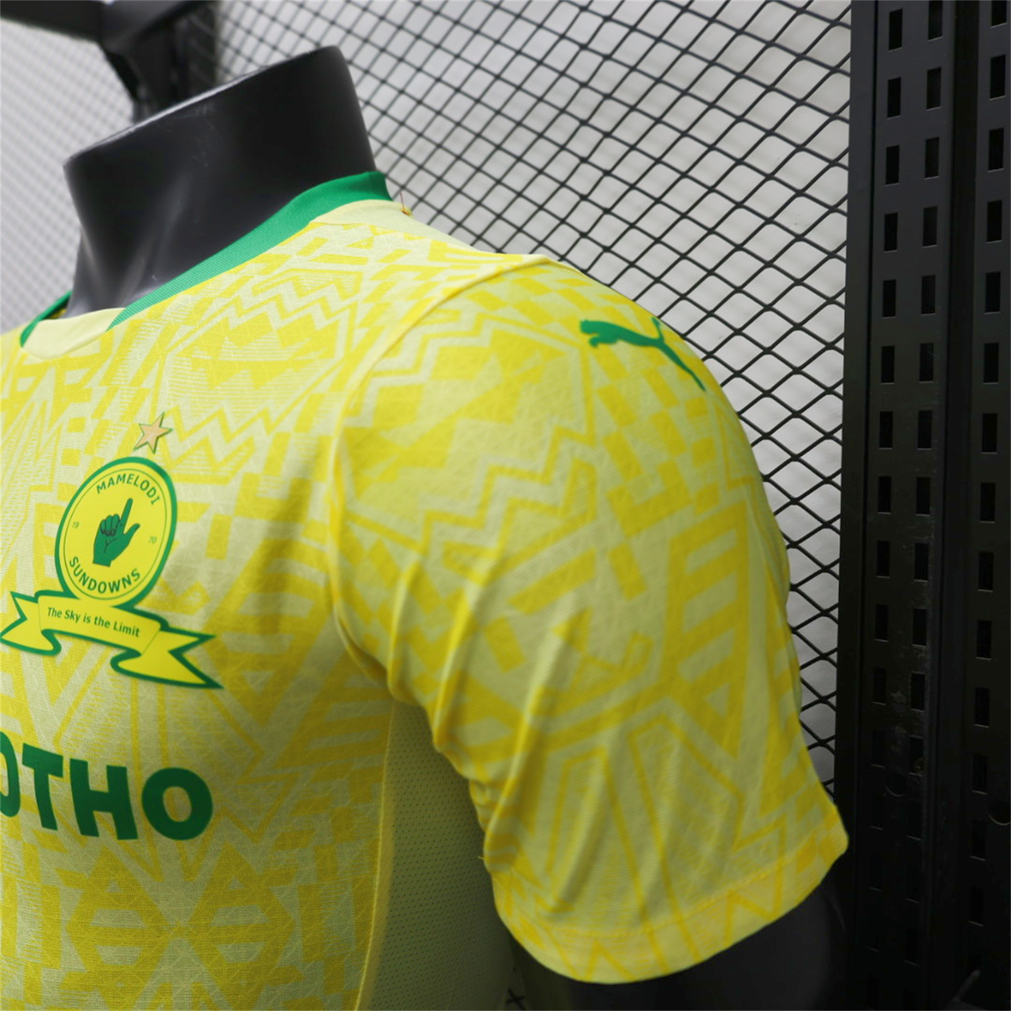 SIUjerseys-Mamelodi Sundowns 24-25 Home Stadium Jersey - Player Version