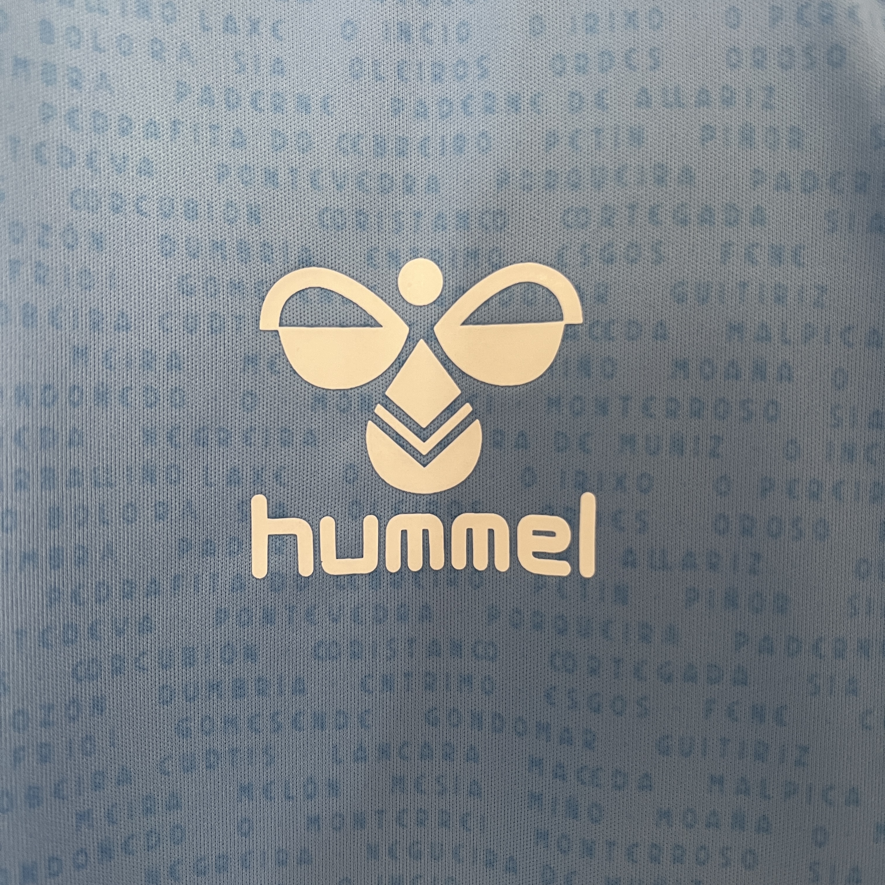 SIUjerseys-Celta Vigo 24-25 Home Stadium Jersey - Fans Version