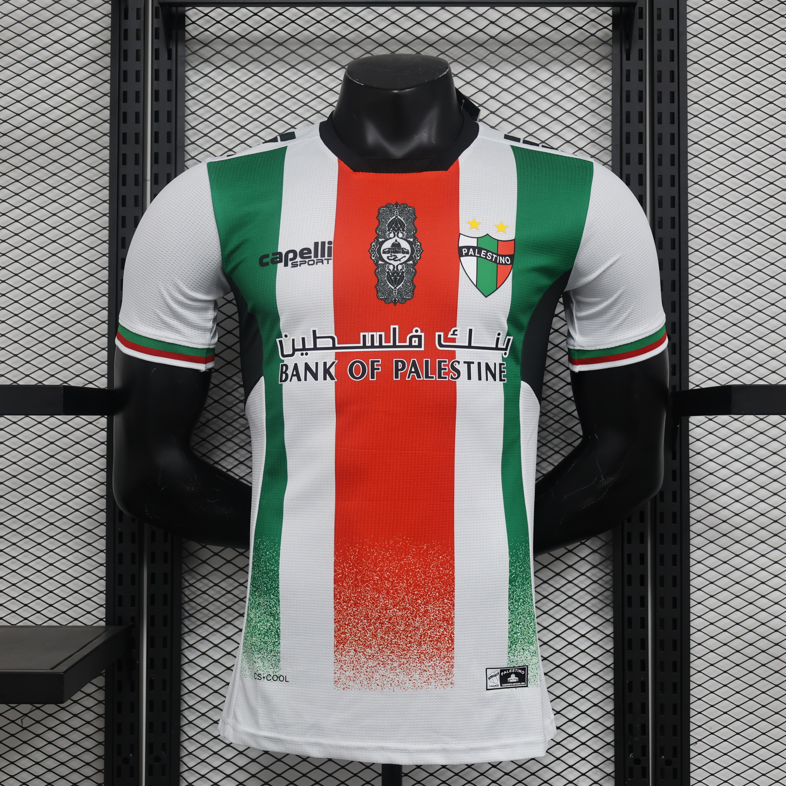 unitedfutballjersey-Club Deportivo Palestino 2024 Home Jersey - Player Version