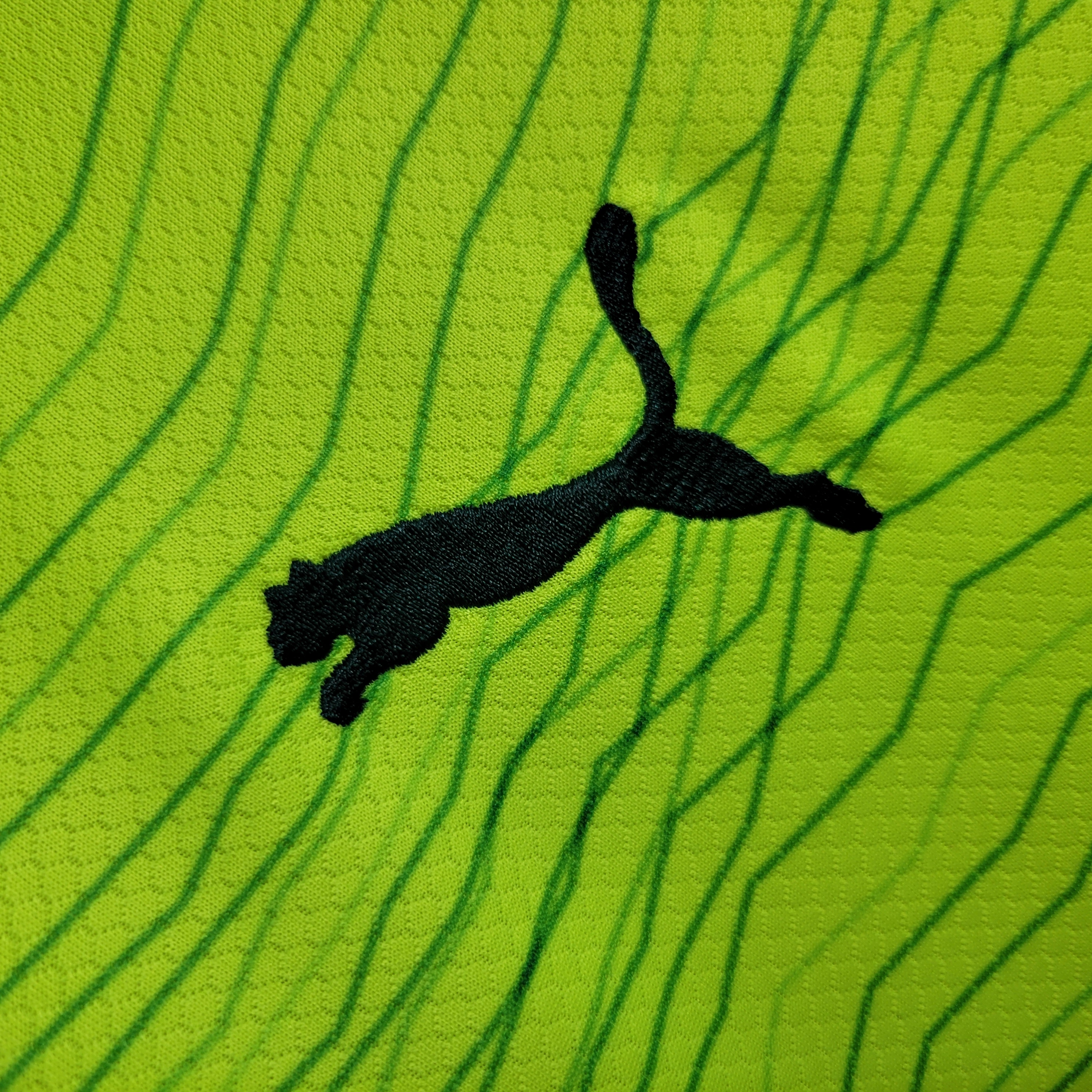 unitedfutballjersey-Palmeiras 2023 Third Jersey - Fans Version