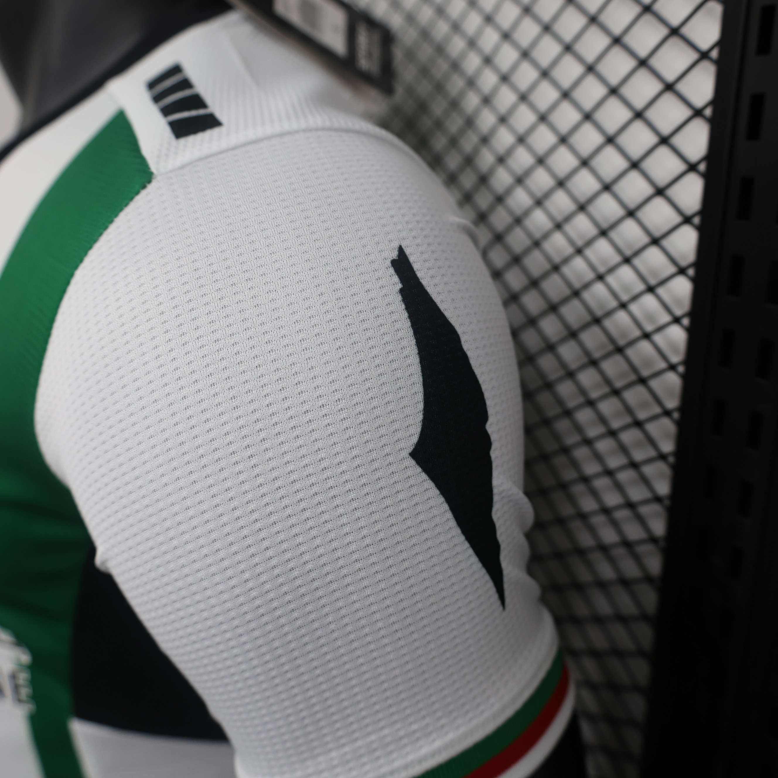 unitedfutballjersey-Club Deportivo Palestino 2024 Home Jersey - Player Version