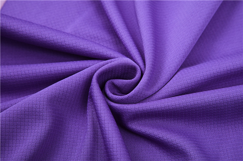 SIUjerseys-Germany 2024 Short-Sleeve Training Set - Purple