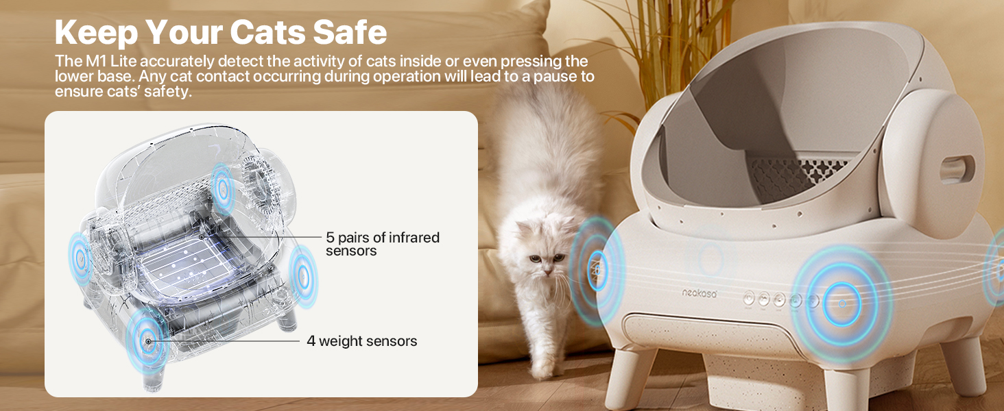 Keep Your Cats Safe