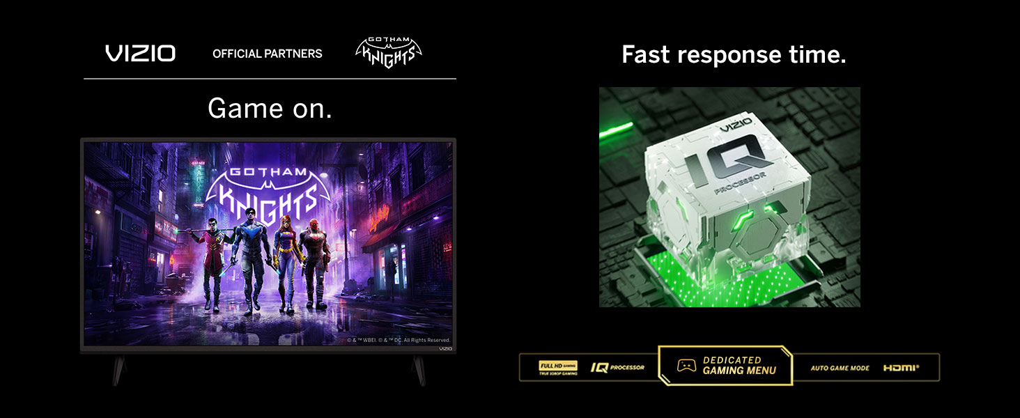 Vizio