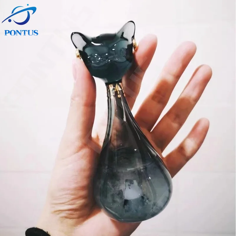 Anderson Cat Weather Forecast Bottle Predictor Monitor Glass Storm Bottle with Wooden Base Desktop Ornaments Room Decor Gifts