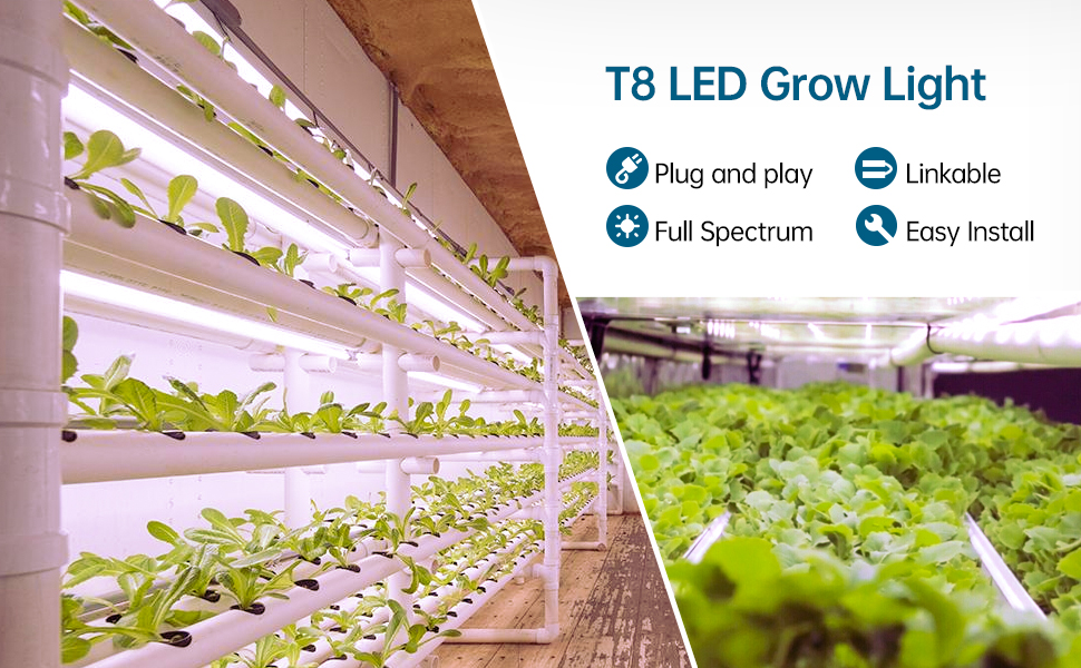 T8 grow lights