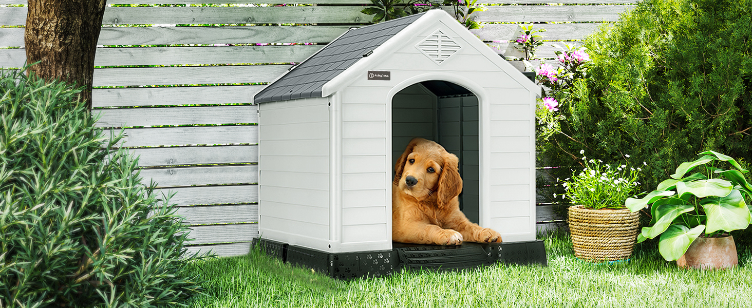 dog house