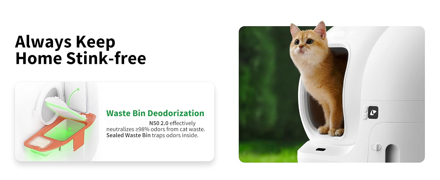 scoop free cat litter box