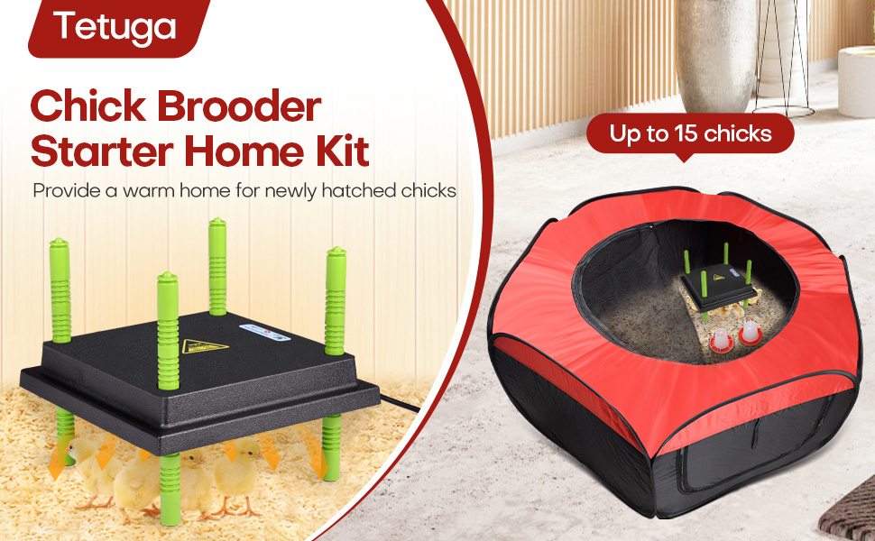 chicken brooder box